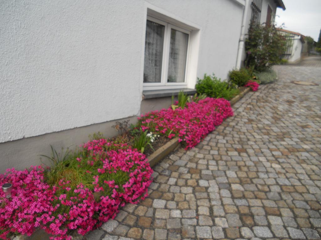 Ferienwohnung Цитау Екстериор снимка